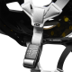 FOX Bike Helm Speedframe Pro Fade black