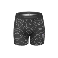 PICTURE Boxershort Underwear Lines black