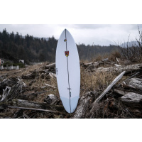 LIB TECH Surfboard MR x Mayhem California Pin