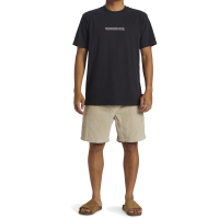 QUIKSILVER Short Taxer Cord plaza taupe