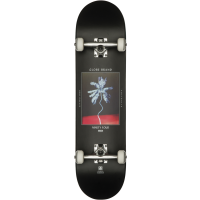 GLOBE Skateboard G1 Palm Off black 8.0