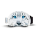 SOGGLE Goggle Protection Snow Leopard